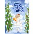 russische bücher: Березина Е. В. - Куда спешат чудеса