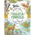 russische bücher: Царинная В.А. - Чудеса природы. 50 историй в картинках для детей