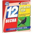russische bücher:  - Времена года. Весна: 12 развивающих карточек