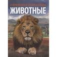 russische bücher: Мартин К. - Животные. Современная энциклопедия