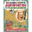 russische bücher:  - Большая книга лабиринтов и головоломок. Лабиринты для детей от 5 до 9 лет