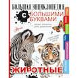 russische bücher: Попова И.М., Спектор А.А., Вайткене Л.Д. - Животные