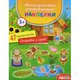 russische bücher:  - Многоразовые развивающие наклейки. В деревне