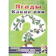 russische bücher: Шорыгина Татьяна Андреевна - Ягоды. Какие они? Книга для воспитателей, гувернеров и родителей