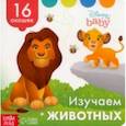 russische bücher:  - Изучаем животных. Книга с окошками