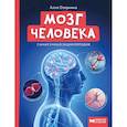russische bücher: Озорнина Алла Георгиевна - Мозг человека. Самая умная энциклопедия
