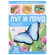russische bücher:  - Луг и пруд. Книжка с окошками