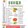 russische bücher:  - Овощи в картинках. Наглядное пособие для педагогов, логопедов, воспитателей, родителей.