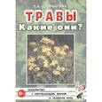 russische bücher: Шорыгина Татьяна Андреевна - Травы. Какие они?