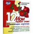 russische bücher:  - Мои первые слова. 12 развивающих карточек с картинками красного цвета, стихами, загадками, рисунками