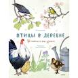 russische bücher: Анна Евсеева, художник Маша Шебеко - Птицы в деревне. Где найти и как узнать