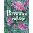 russische bücher: Пескова И. М. - Растения в городе