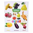 russische bücher:  - Овощи, фрукты, ягоды