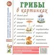 russische bücher:  - Грибы в картинках. Наглядное пособие для воспитателей, логопедов, педагогов, родителей