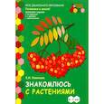 russische bücher: Новикова С. Н. - Знакомлюсь с растениями. 6-7 лет. Развивающая тетрадь. 1-е полугодие. ФГОС ДО