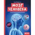 russische bücher: Озорнина Алла Георгиевна - Мозг человека. Самая умная энциклопедия