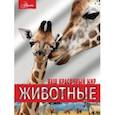 russische bücher: Вайткене Любовь Дмитриевна - Животные