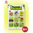 russische bücher: Дюбрей,Мао,Сирван - Невероятные растения. Том 1