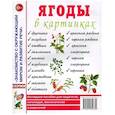 russische bücher:  - Ягоды в картинках. Наглядное пособие для педагогов, воспитателей, логопедов, родителей