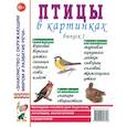 russische bücher:  - Птицы в картинках. Выпуск 1. Наглядное пособие для педагогов, логопедов, воспитателей и родителей
