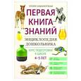 russische bücher: Заболотная Этери Николаевна - Энциклопедия дошкольника: 4-5 лет