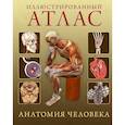 russische bücher: Роубак Д. - Анатомия человека 360. Иллюстрированный атлас