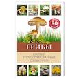 russische bücher: Бэрбель Офтринг - Грибы. Краткий иллюстрированный справочник