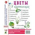 russische bücher:  - Цветы в картинках. Наглядное пособие для педагогов, воспитателей, логопедов и родителей