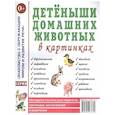 russische bücher:  - Детеныши домашних животных в картинках