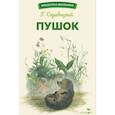 russische bücher: Скребицкий Георгий Алексеевич - Пушок