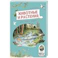 russische bücher: Рождественская Е. - Животные и растения рек,озёр и морей.Книга о птицах