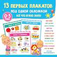 russische bücher: Дмитриева В.Г. - 13 первых плакатов под одной обложкой. Всё что нужно знать. 0—3 года