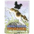 russische bücher: Пришвин М.М. - Берестяная трубочка. Рассказы