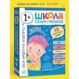 russische bücher: Денисова Д. - Годовой базовый курс.1+ (комплект 12 кн.+развив.материалы в коробе)