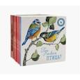 russische bücher: Ася Петрова, Елизарова Н. - Книжки-отвлекалки для малышей (комплект из 9-ти книг)