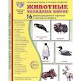 russische bücher:  - Животные холодных широт. Учебное издание (16 демонстрационных картинок с текстом)
