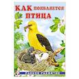 russische bücher: Гурина И. - Как появляется птица