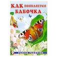 russische bücher: Гурина И. - Как появляется бабочка