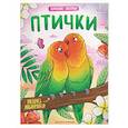 russische bücher:  - Птички: книжка-раскраска