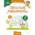 russische bücher:  - Простые лабиринты (Чевостик)