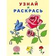 russische bücher:  - ОЦветы