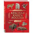 russische bücher: Юлия Добрыня - Красная книга России. От Байкала до Камчатки. Иллюстрированная энциклопедия школьника (48 стр.)