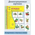 russische bücher: Цветкова Т.В. - Ягоды. 16 демонстрационных картинок с текстом на обороте