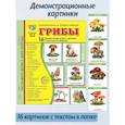 russische bücher: Цветкова Т.В. - Грибы. 16 демонстрационных картинок с текстом на обороте