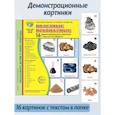 russische bücher: Цветкова Т.В. - Полезные ископаемые. 16 демонстрационных картинок с текстом на обороте