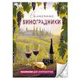 Солнечные виноградники. Раскраски для интровертов