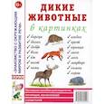 russische bücher: Кулакова Н - Дикие животные в картинках