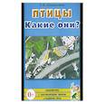 russische bücher: Шорыгина Т. А. - Птицы. Какие они?