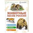 russische bücher:  - Животные лесов России