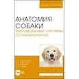 russische bücher: Слесаренко Наталья Анатольевна - Анатомия собаки. Висцеральные системы (Спланхнология). Учебник для вузов